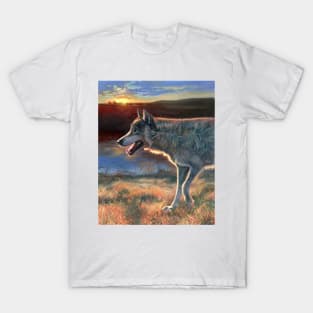 Two Socks - Dances with Wolves T-Shirt